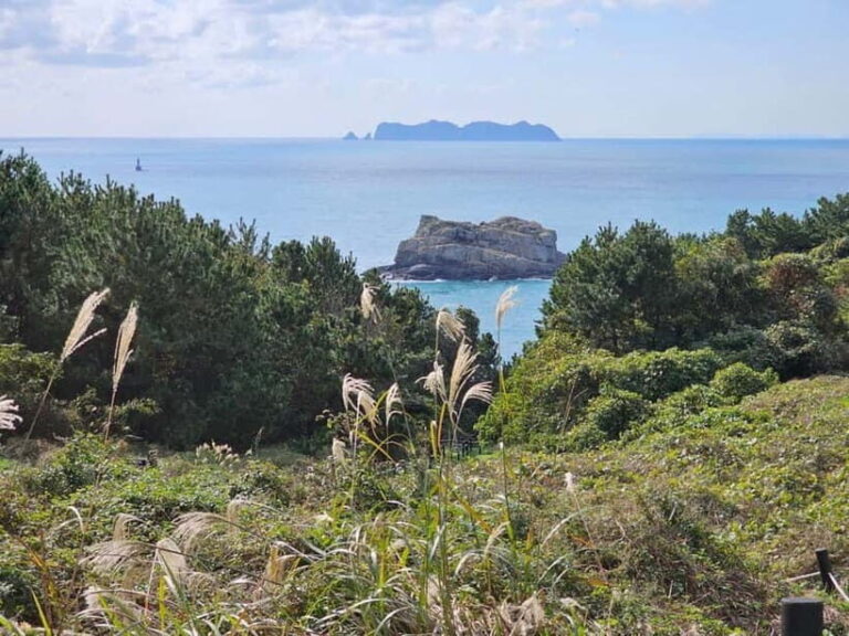 From Seoul: Cycling Tour from Tongyeong to Geoje - What Makes This Tour Stand Out?