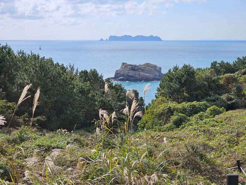 From Seoul: Cycling Tour from Tongyeong to Geoje - What Makes This Tour Stand Out?