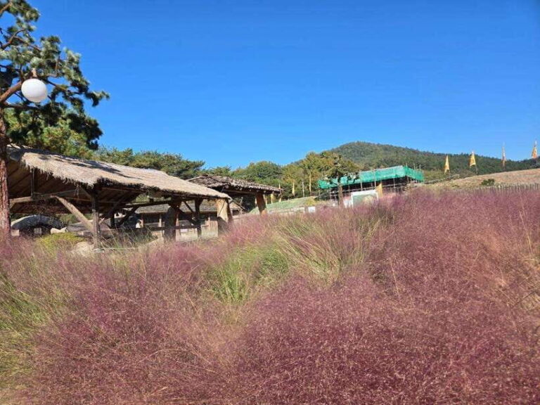 From Seoul: Gongju and Buyeo 2-Day Tour with Accommodation - Practical Details and Value
