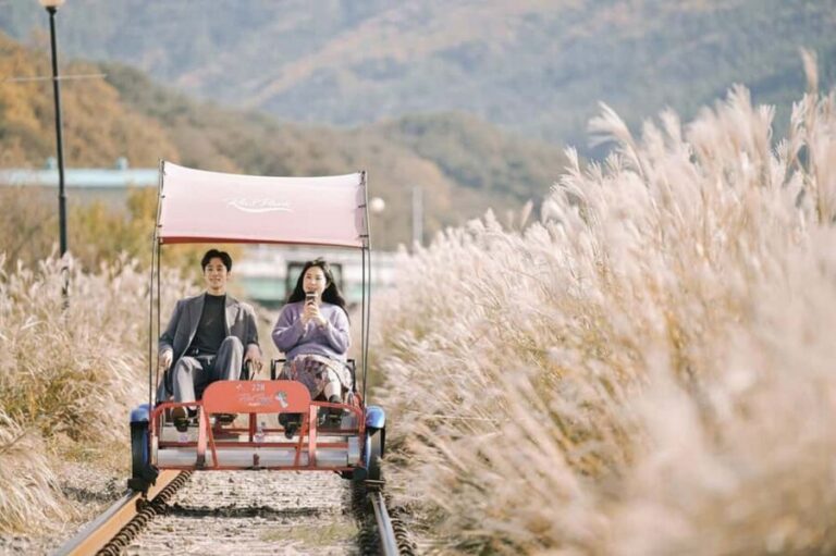 From Seoul: Nami Island, Korean Garden & Rail Bike Day Trip - Deep Dive into Each Stop