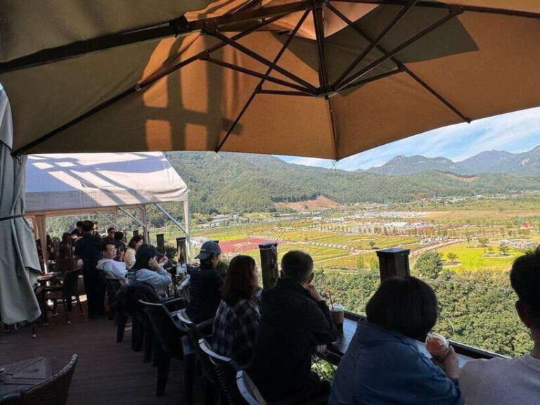 From Seoul : Pocheon 2-Day Tour with Accommodation and Meals - What This Tour Means for Your Trip