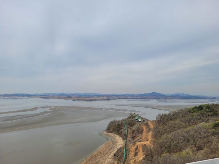 From Seoul: Private DMZ and Odusan Observatory Full-Day Tour - Why This Tour Offers Great Value