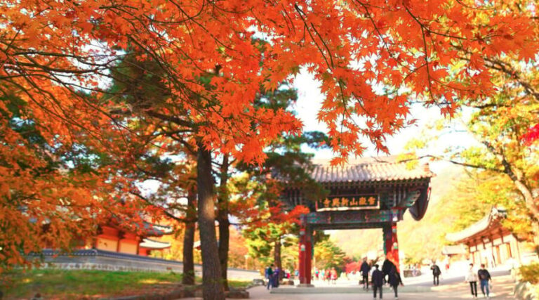 From Seoul: Seoraksan Mountain with Cable Car- Shuttle Bus - Exploring Seoraksan: What You Can Expect