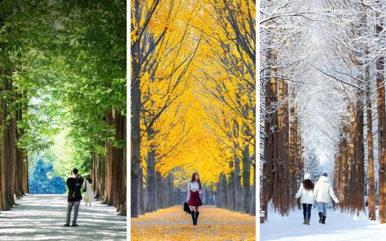 From Seoul: Seoraksan National Park and Nami Island Day Trip - The Itinerary in Detail