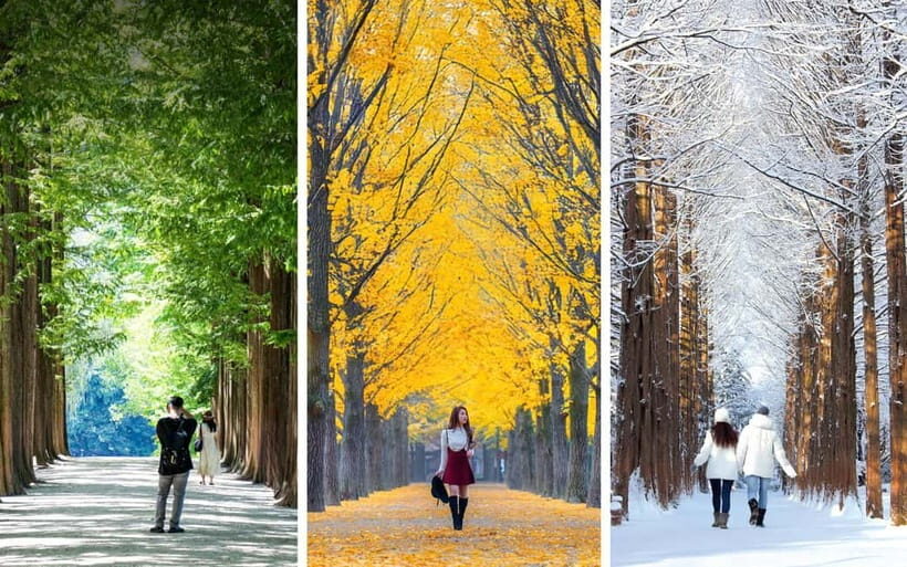 From Seoul: Seoraksan National Park and Nami Island Day Trip - The Itinerary in Detail