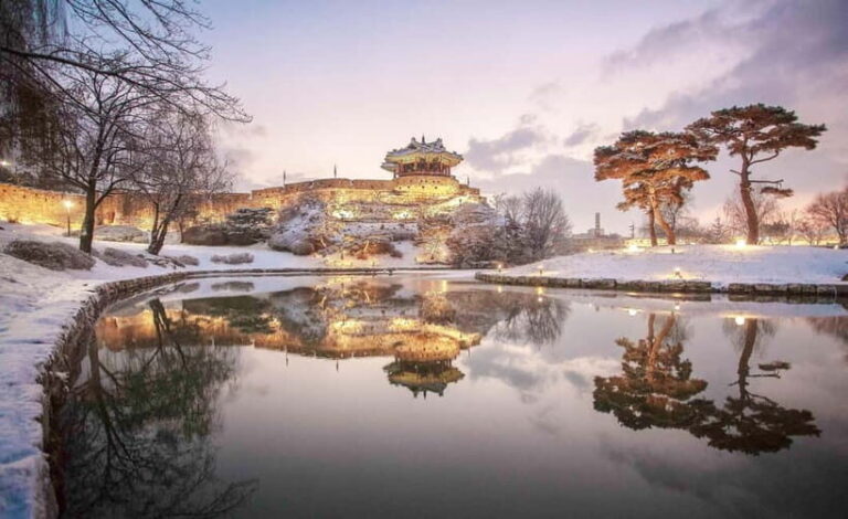 From Seoul: Suwon Hwaseong and Deogyusan Winter Tour - Who Will Love This Tour?