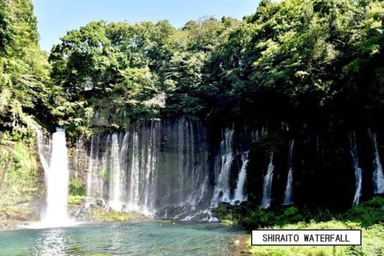From Shinfuji: Fuji Nature Tour with Guide and Vehicle - Visiting Shiraito Falls: A Majestic Natural Wonder