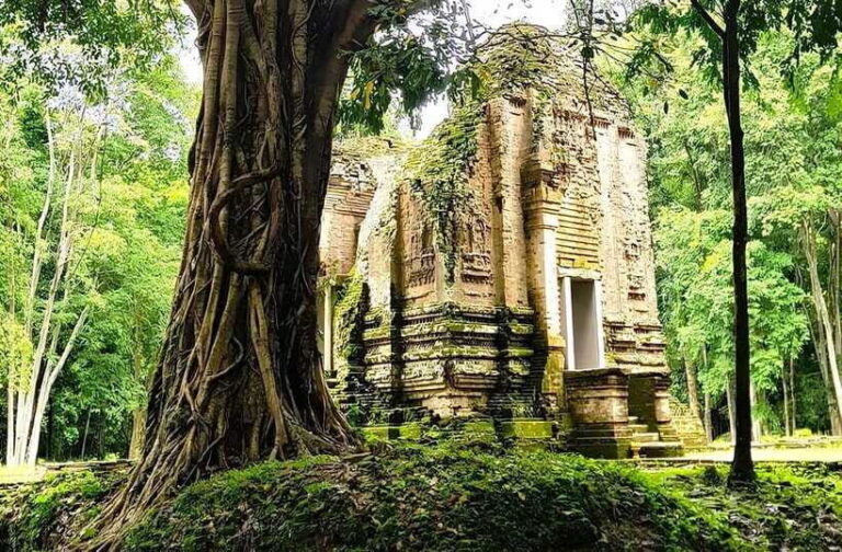 From Siem Reap: Sambor Prei Kuk and Kompong Kdei Day Trip - Practical Details and What You’ll Get