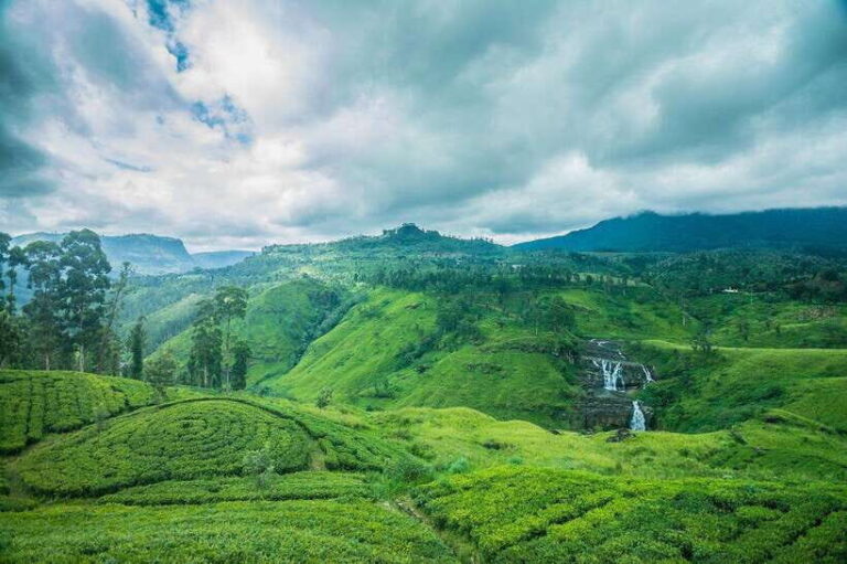 From Sigiriya: 6-Day Sri Lanka Tour with Yala Safari - An In-Depth Look at the Itinerary