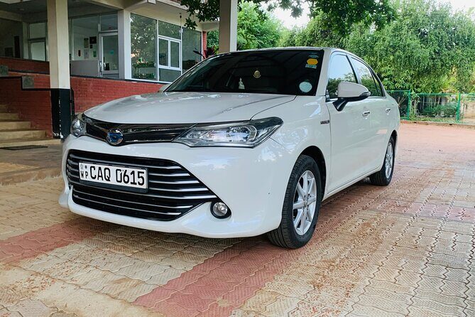 From Sigiriya to Kandy Transfer by Private Comfortable Car - The Itinerary in Detail