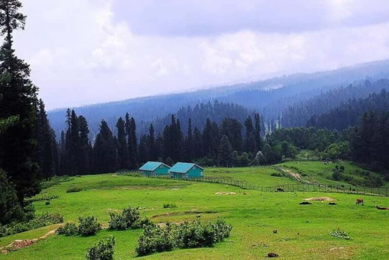 From Srinagar Full Day Trip of Yousmarg - Final Thoughts: Is This the Right Kashmir Day Trip for You?