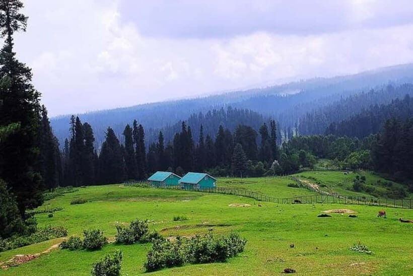 From Srinagar Full Day Trip of Yousmarg - Final Thoughts: Is This the Right Kashmir Day Trip for You?