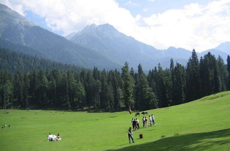 From Srinagar: Sonmarg Day Trip - Zoji La Pass: A Mountain Drive to Remember