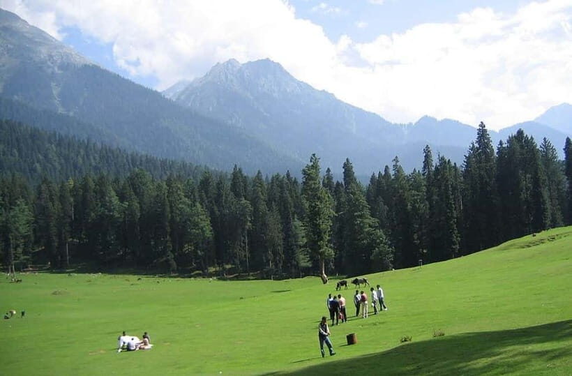 From Srinagar: Sonmarg Day Trip - Zoji La Pass: A Mountain Drive to Remember