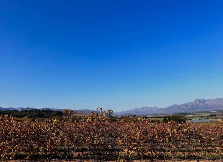 From Stellenbosch: 3-Day Garden Route Tour with Game Drive - Final Thoughts