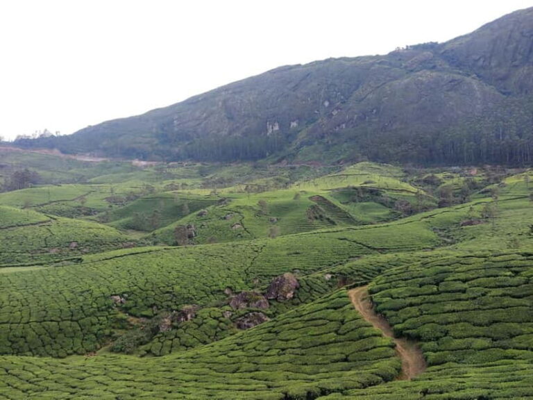 From Suryanelli: Kolukkumalai Tent Stay - Who Should Consider This Tour?