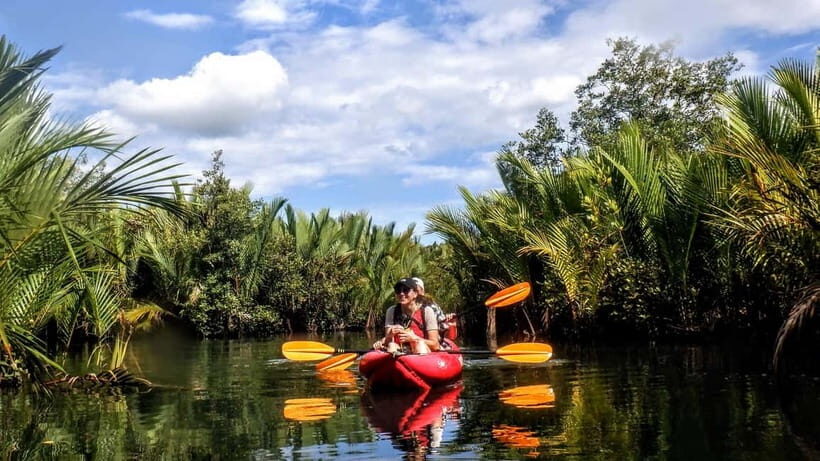 From Tagbilaran City/Panglao Island: Bohol Mangrove Kayaking - Why Travelers Rave About It
