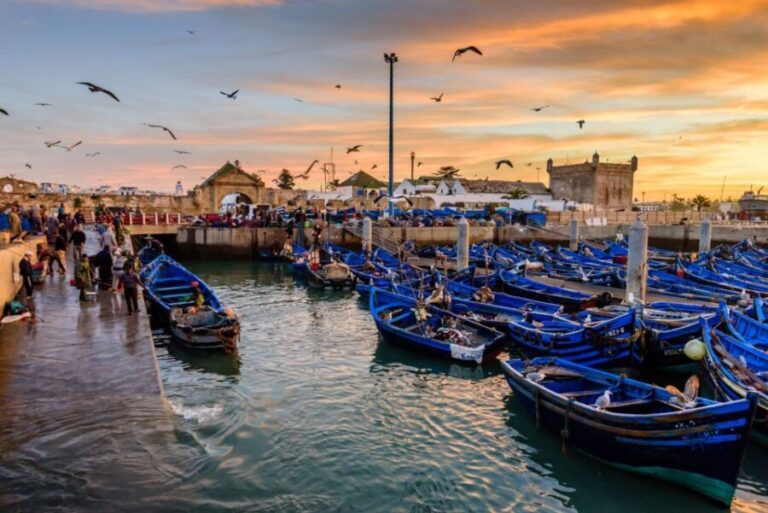 From Taghazout: Medina of Essaouira Guided Day Trip - The Experience: What Travelers Say