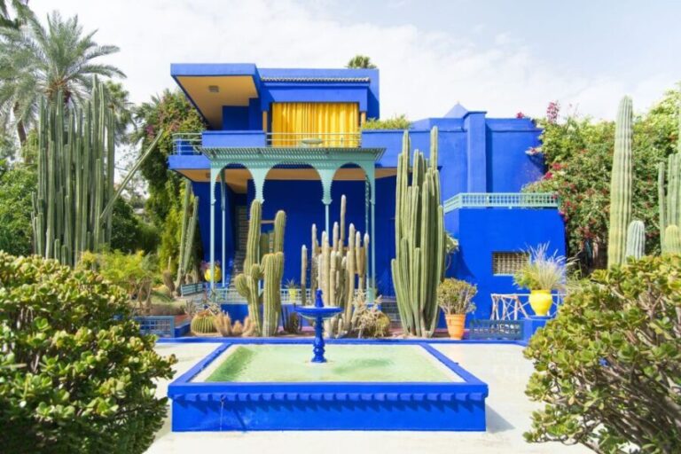 From Taghazout or Agadir: Marrakech Guided Day Trip - The Free Time & Optional Activities