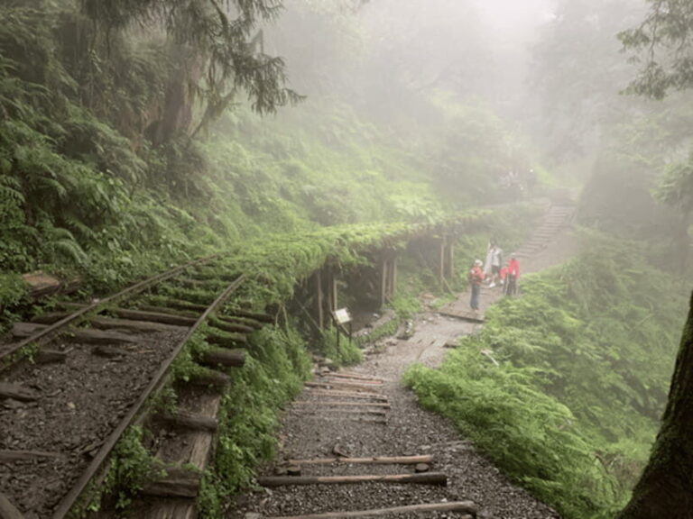 From Taipei: Taipingshan National Forest Private Day Tour - FAQ for the Taipingshan Private Day Tour