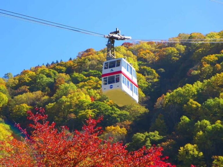From Takayama: Shinhotaka Ropeway & Kamikochi Private Tour - The Route in Detail
