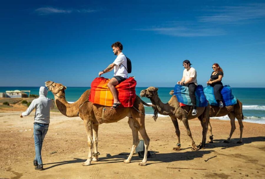From Tangier: Cap Spartel and Hercules Cave with Camel Ride