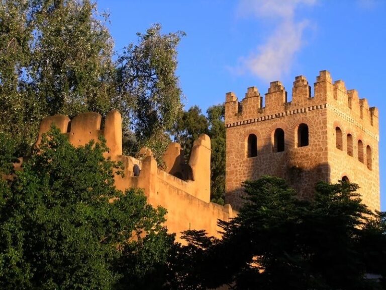 From Tangier: Chefchaouen Guided Full-Day Trip - Transportation and Group Dynamics