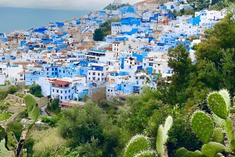 From Tangier: Chefchaouen Private Day Tour - Practical Aspects and Value