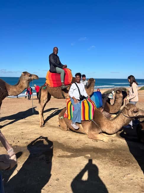 From Tarifa: Tangier Day Trip with Lunch and Ferry - What This Tour Means for You