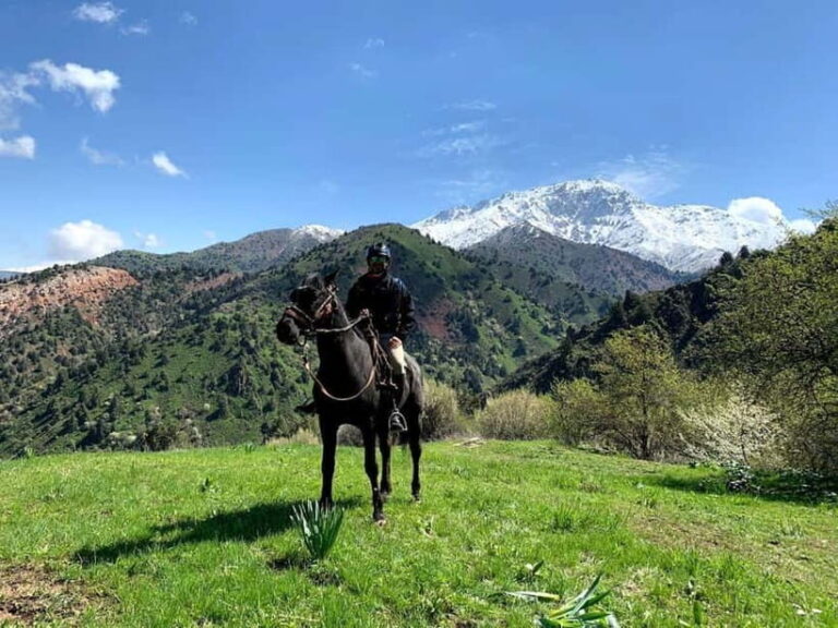 From Tashkent: Chimgan Valley Hiking Day Trip - What the Tour Includes and Excludes