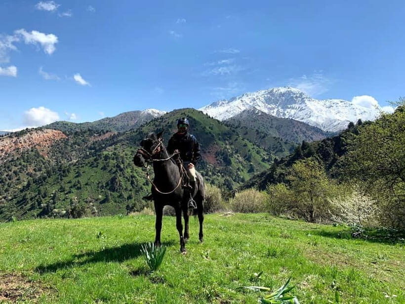 From Tashkent: Chimgan Valley Hiking Day Trip - What the Tour Includes and Excludes