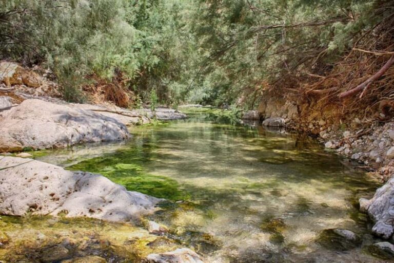 From Tel Aviv: Masada, Ein Gedi, and Dead Sea Guided Tour - Transportation and Logistics: What Travelers Should Know