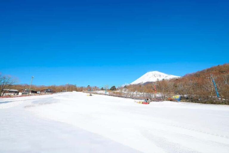 From Tokyo : Fujiyama Snow Resort Yeti Day Tour - Why This Tour Works for Travelers