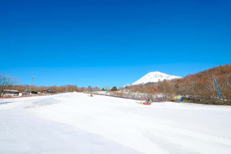 From Tokyo : Fujiyama Snow Resort Yeti Day Tour - Why This Tour Works for Travelers