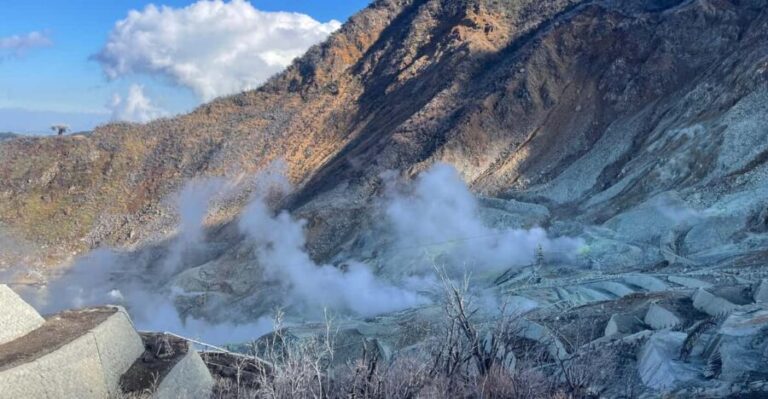 From Tokyo: Hakone Full Day Customizable Private Tour - What Makes This Tour Stand Out?