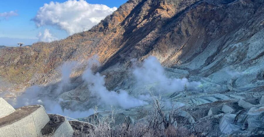 From Tokyo: Hakone Full Day Customizable Private Tour - What Makes This Tour Stand Out?