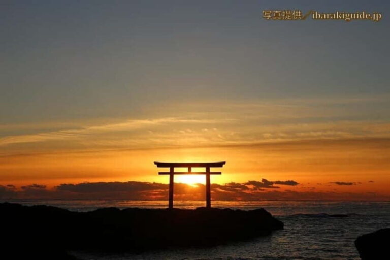 From Tokyo: Hitachi seaside Park & Oarai Isosaki Shrine Tour - What to Expect and Practical Considerations
