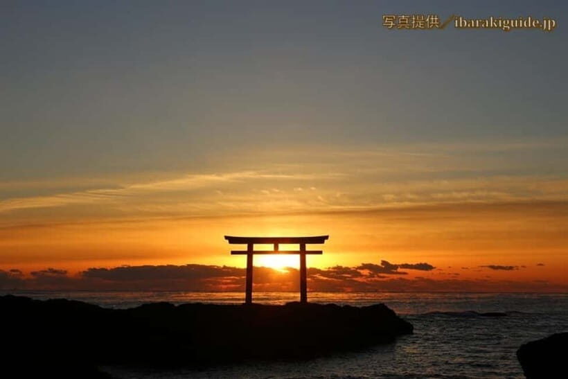 From Tokyo: Hitachi seaside Park & Oarai Isosaki Shrine Tour - What to Expect and Practical Considerations
