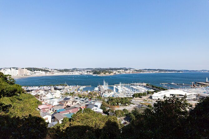 From Tokyo: Kamakura & Enoshima 1-Day Bus Tour - Transportation and Guide Experience