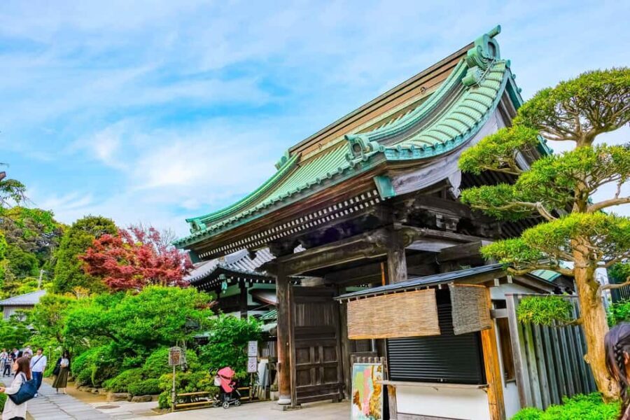 From Tokyo: Kamakura Full Day Private Custom Tour - What Travelers Say and Why It Works