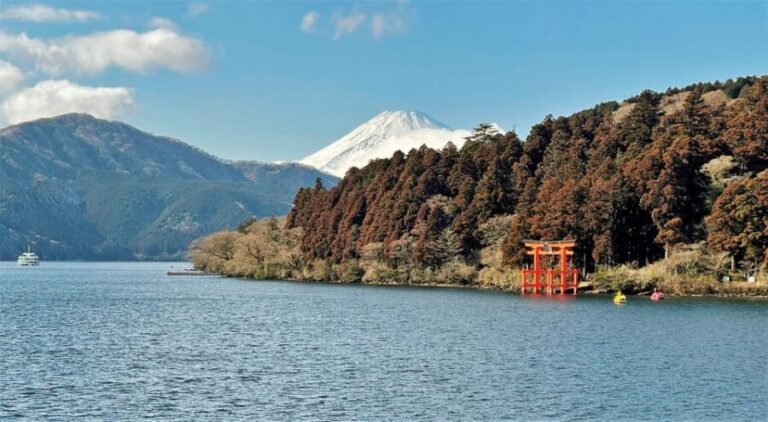 From Tokyo: Mount Fuji and Hakone Private Day Tour - In-Depth Look at the Itinerary