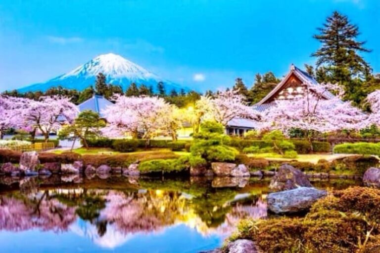 From Tokyo: Mount Fuji And Hakone Private Full Day Trip - Final Thoughts