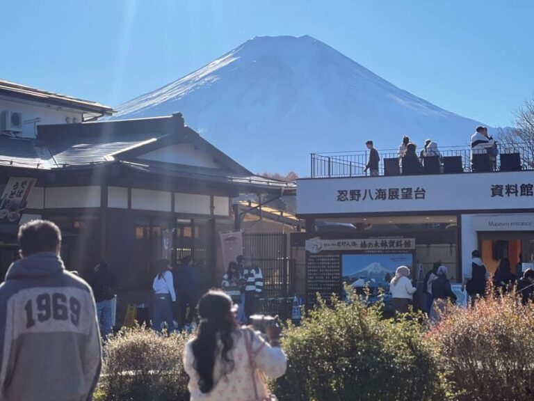 From Tokyo MOUNT FUJI and Lake Kawaguchi-ku Full Day Tour - What Makes This Tour Stand Out?