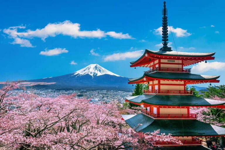 From Tokyo: Mount Fuji Full Day Private Customizable Tour - Practical Tips for Your Trip