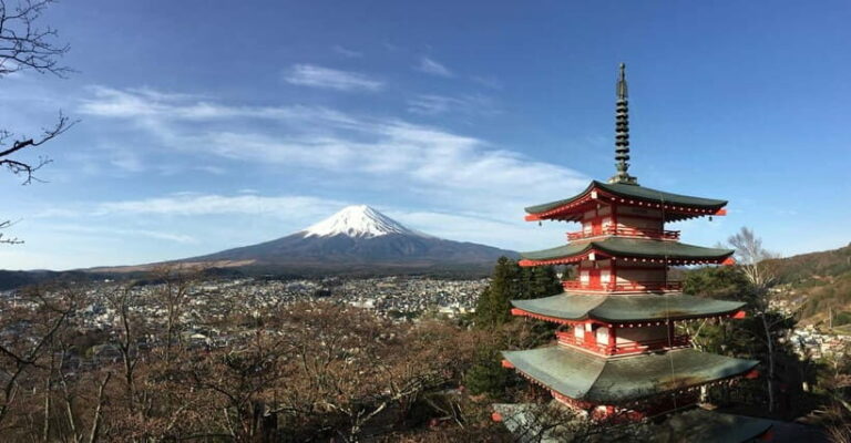 From Tokyo: Mount Fuji Full-Day Private Tour (Customizable) - Exploring the Itinerary in Depth