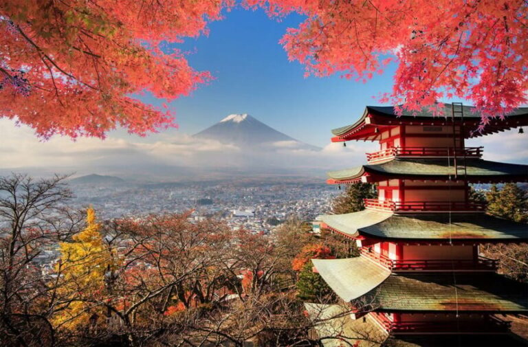 From Tokyo: Mount Fuji Full Day Private Tour English Guide - Real Traveler Perspectives