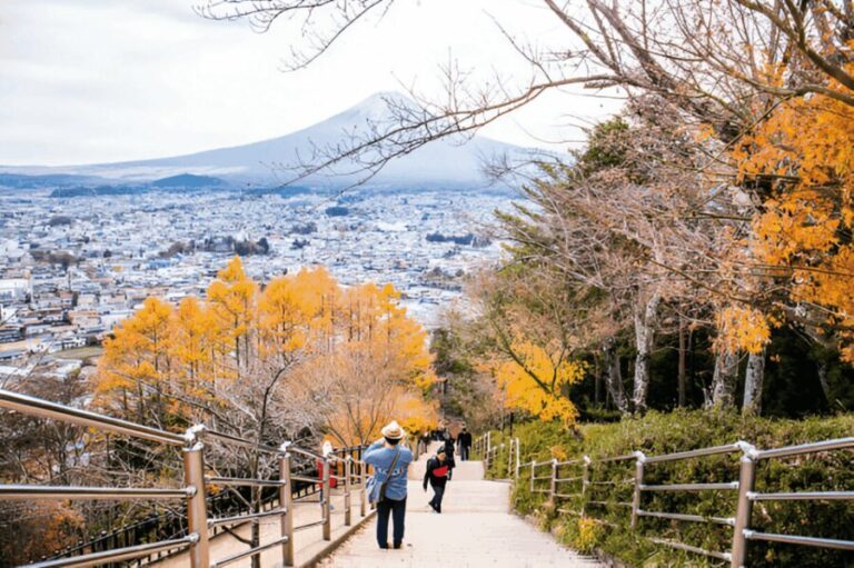From Tokyo: Mount Fuji or Hakone Customized Day Trip - Who Is This Tour Best For?