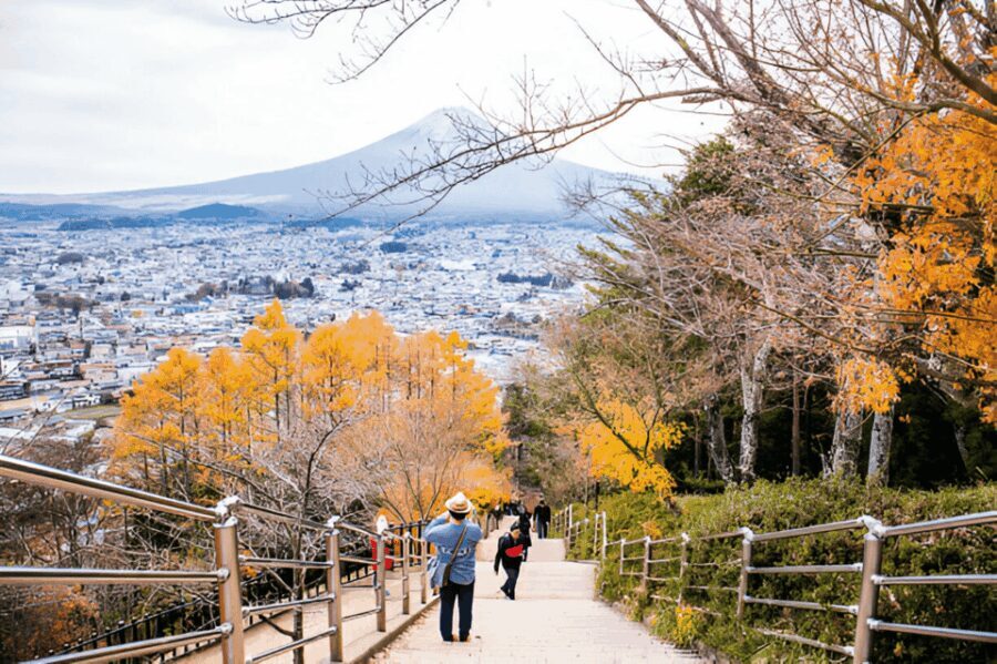 From Tokyo: Mount Fuji or Hakone Customized Day Trip - Who Is This Tour Best For?