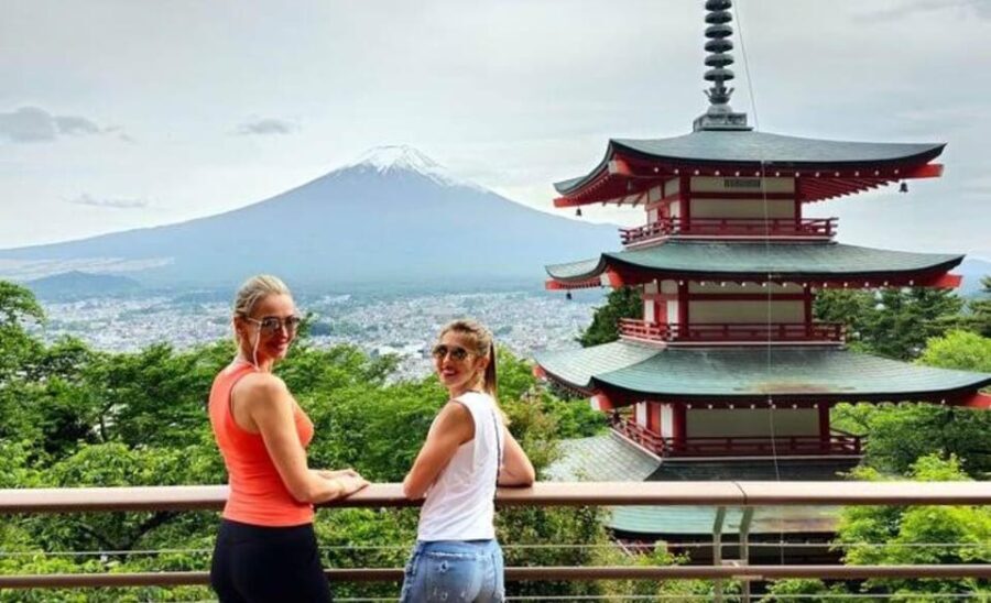 From Tokyo: Mount Fuji Private Day Tour With English Driver - Who Will Love This Tour?