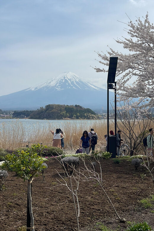 From Tokyo: Mount Fuji Private Tour With English speaking Dr - Who Should Consider This Tour?